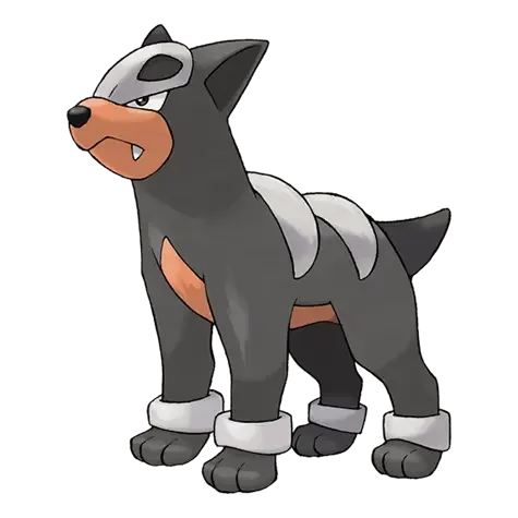 Houndour