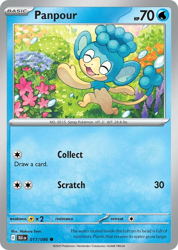 Panpour 17 Pokémon card - Common