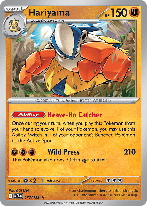 073/132 from Mega Evolution Rare