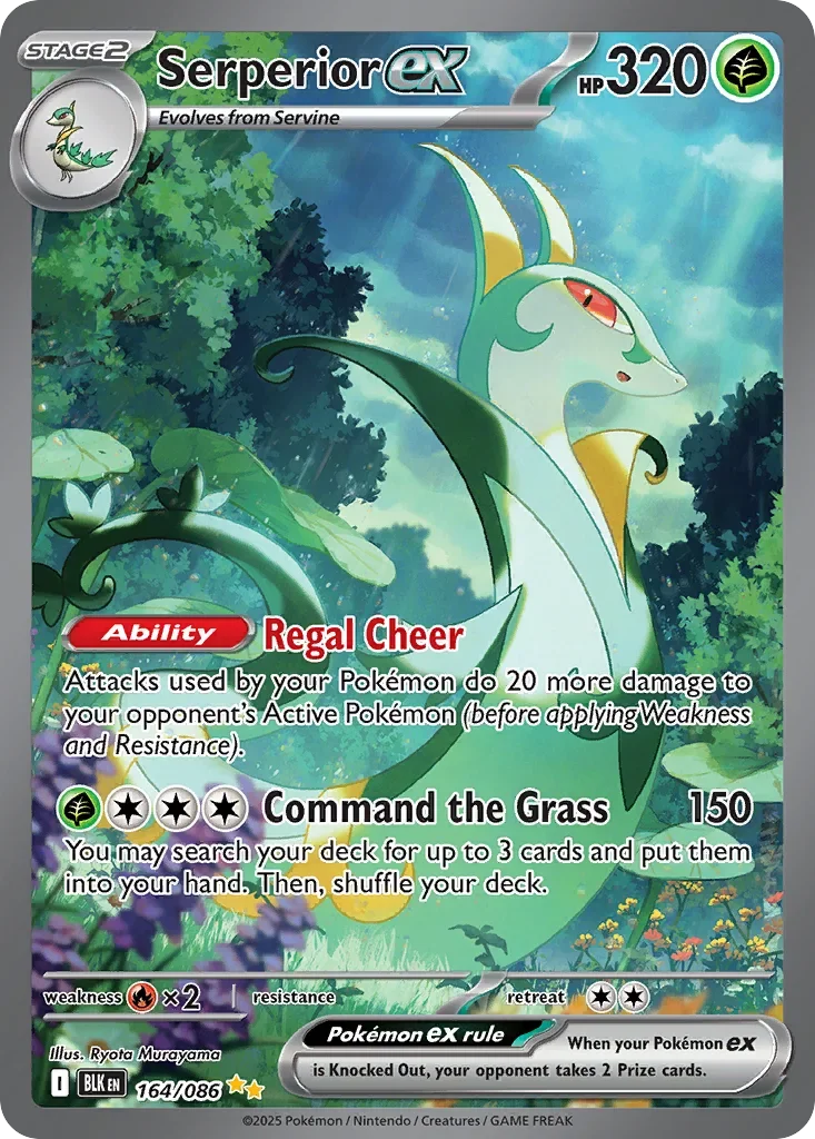 Serperior ex 164 Pokémon card - Special Illustration Rare