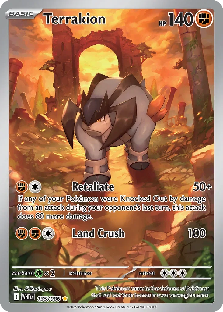 Terrakion 135 Pokemon card from White Flare set