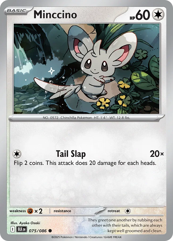 Minccino 75 Pokémon card - Common