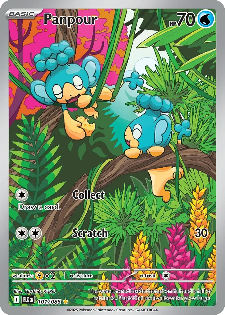 Panpour 101 Pokémon card - Illustration Rare