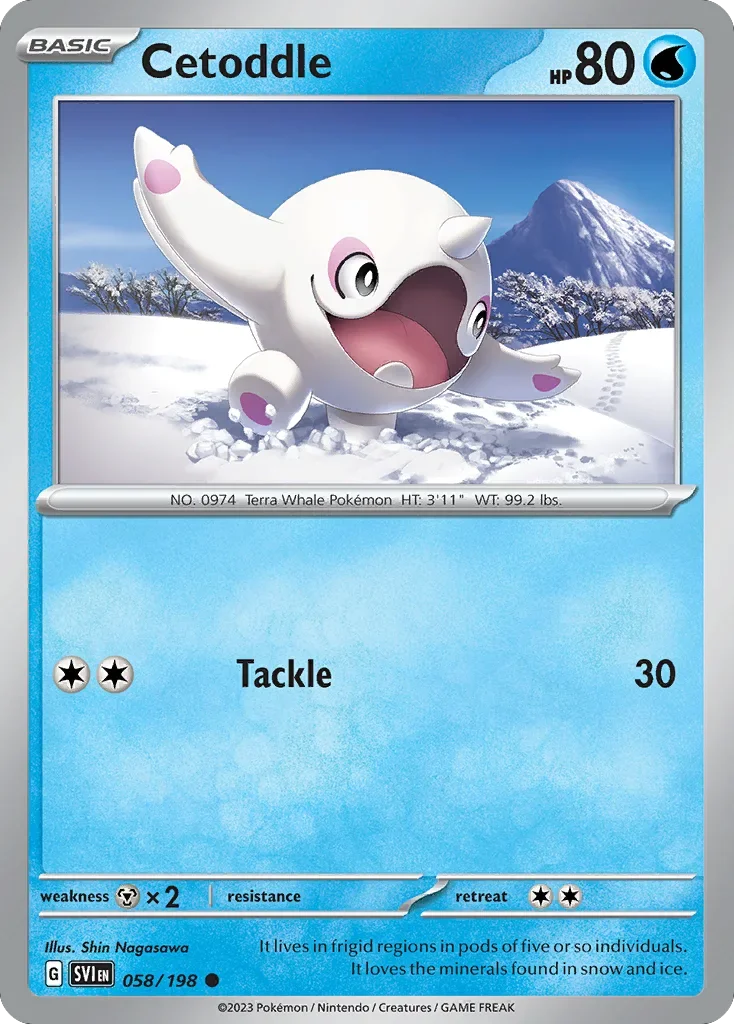 Cetoddle 58 Pokemon card from Scarlet & Violet set