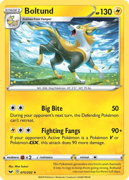 075/202 from Sword & Shield Holo Rare Pokemon Card