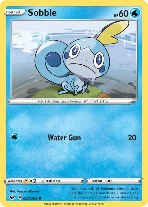 054/202 from Sword & Shield Common Pokemon Card