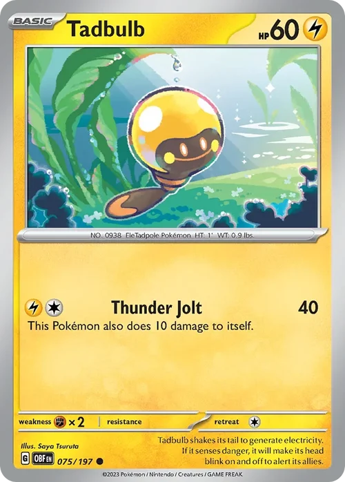 075/197 from Obsidian Flames Common Pokemon Card