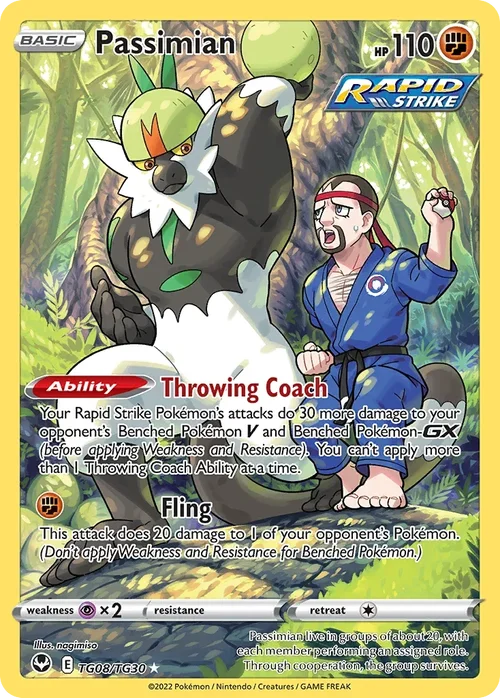 Passimian TG08 Pokemon card from Silver Tempest set