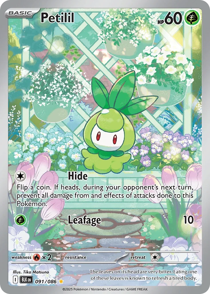 Petilil 91 Pokémon card - Illustration Rare