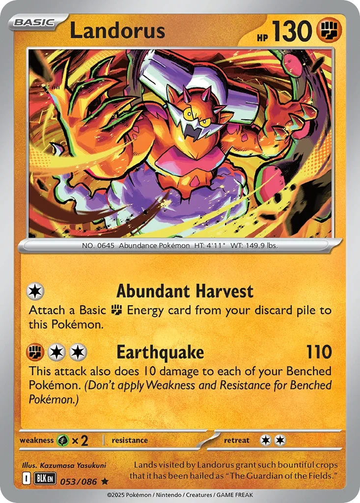 Landorus 53 Pokémon card - Rare