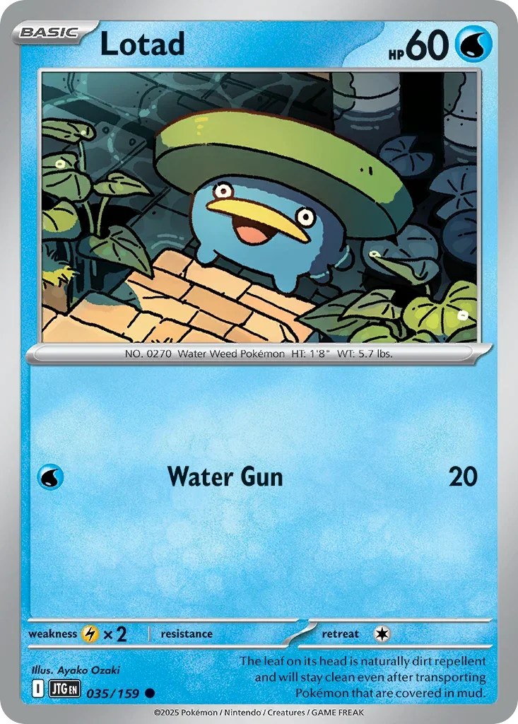 Lotad 35 Pokémon card from JTG set