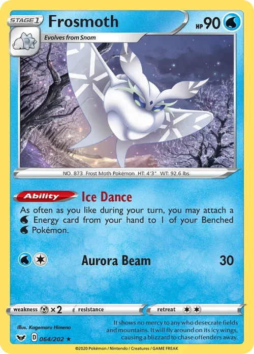 064/202 from Sword & Shield Holo Rare Pokemon Card