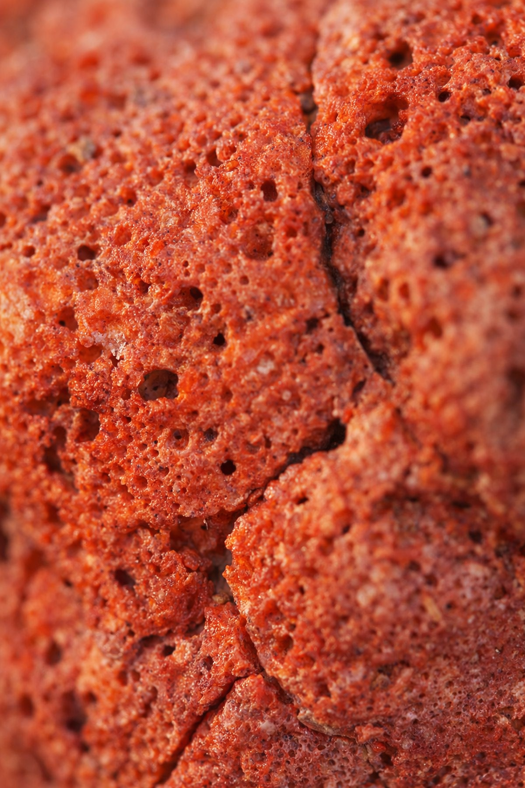 EL SUPERF1 - cópia.png