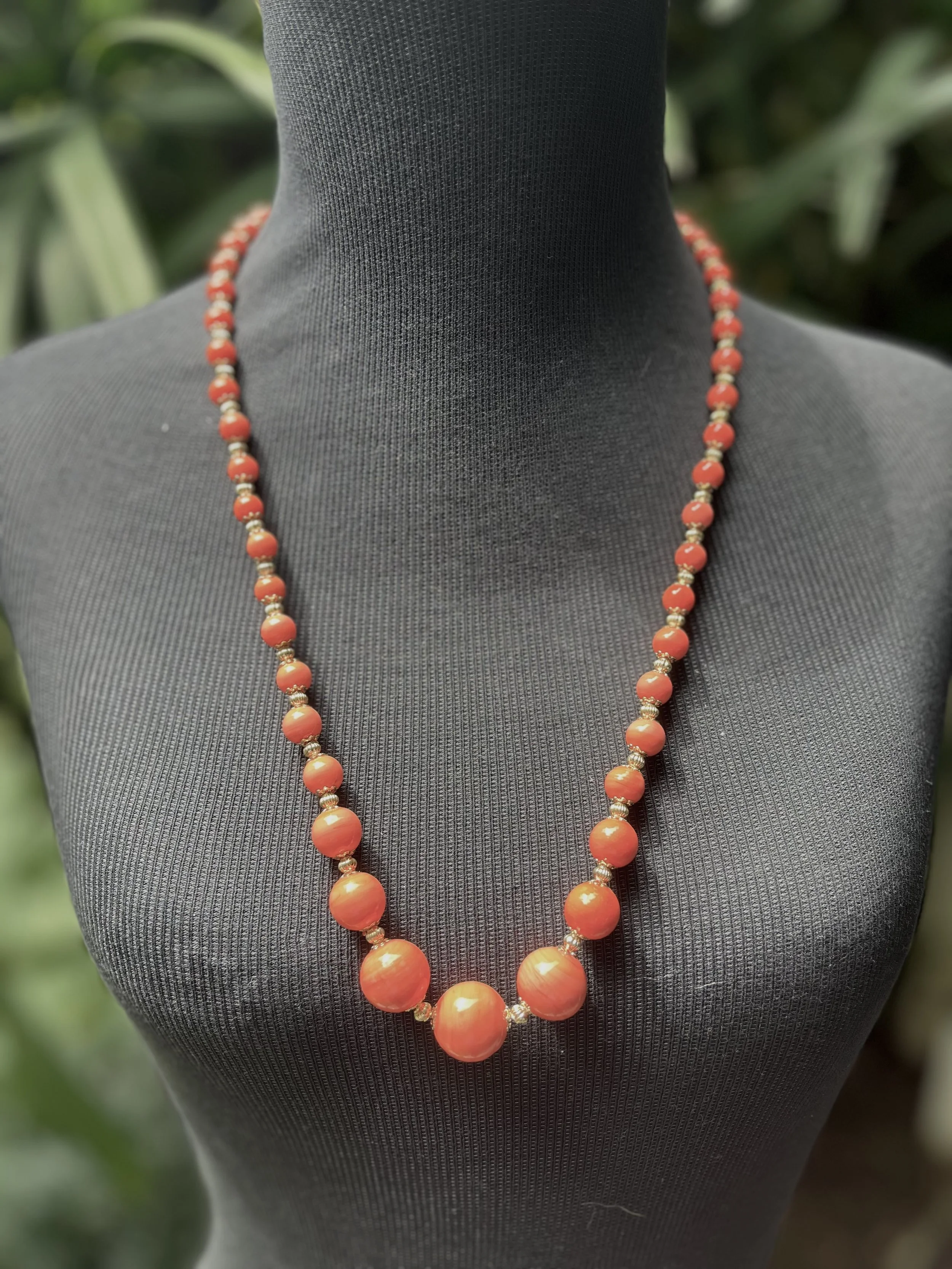 image2 - cópia.jpeg