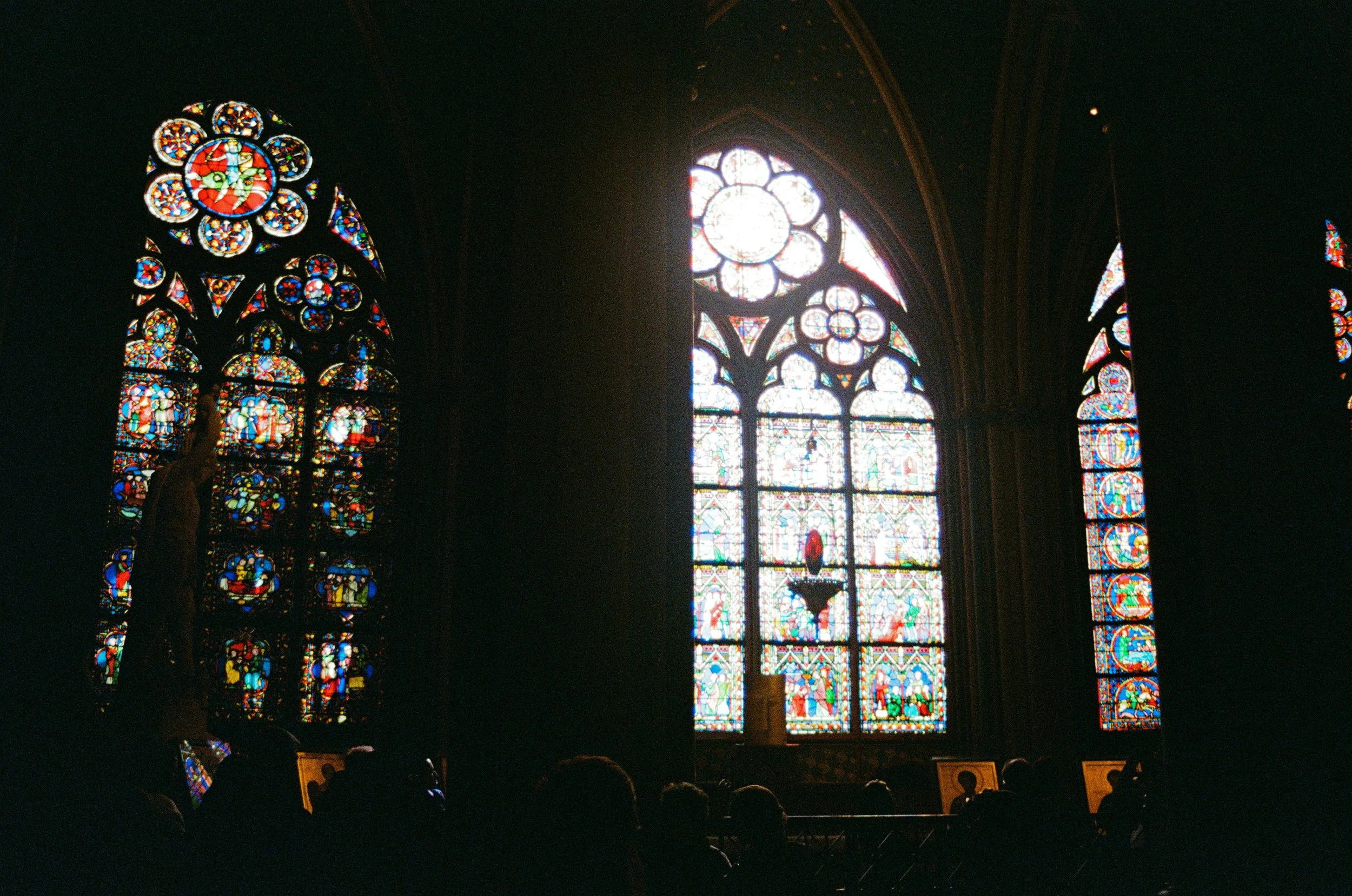 paris notre dame3 copy.jpg