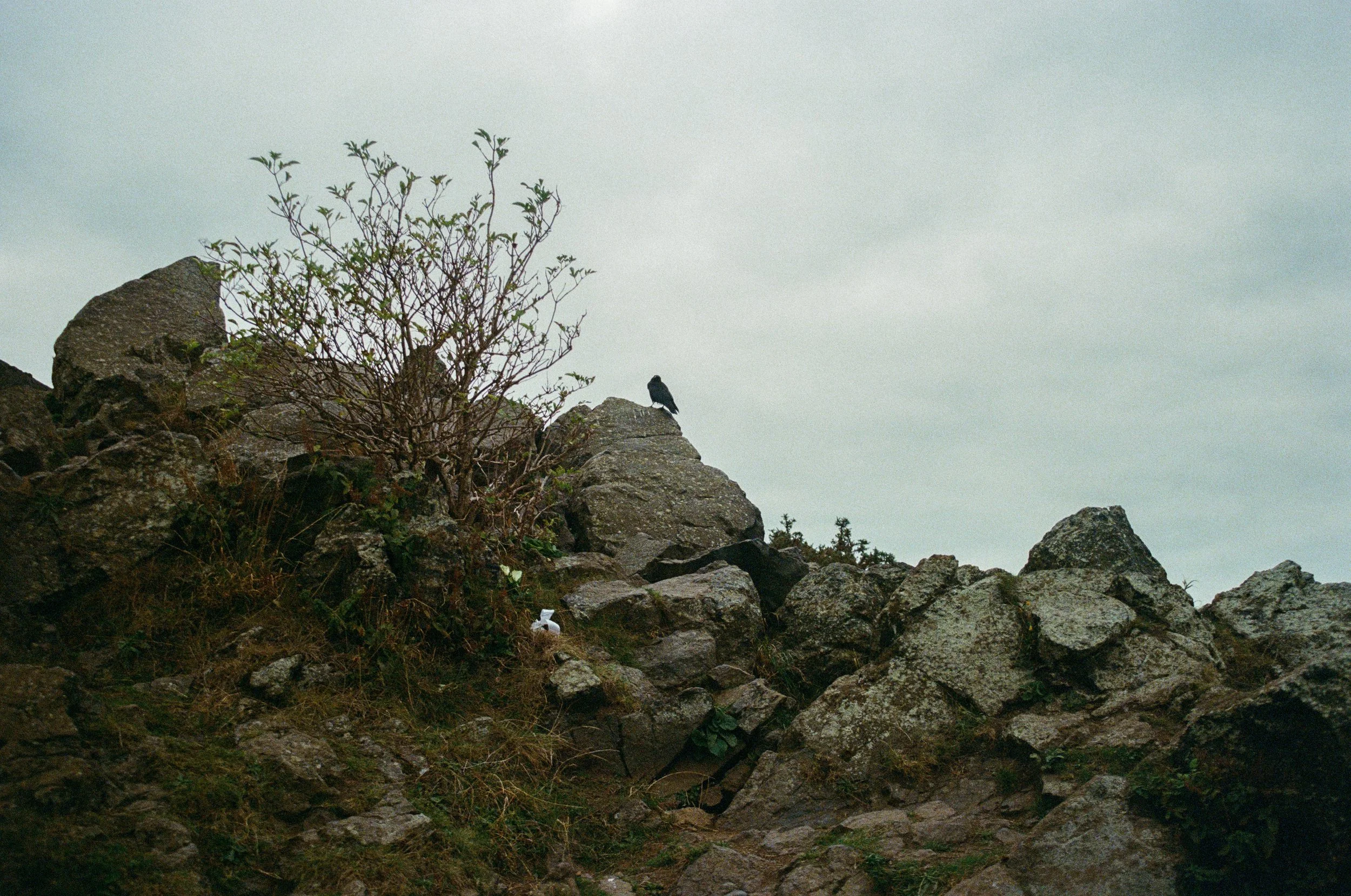 Film Photography