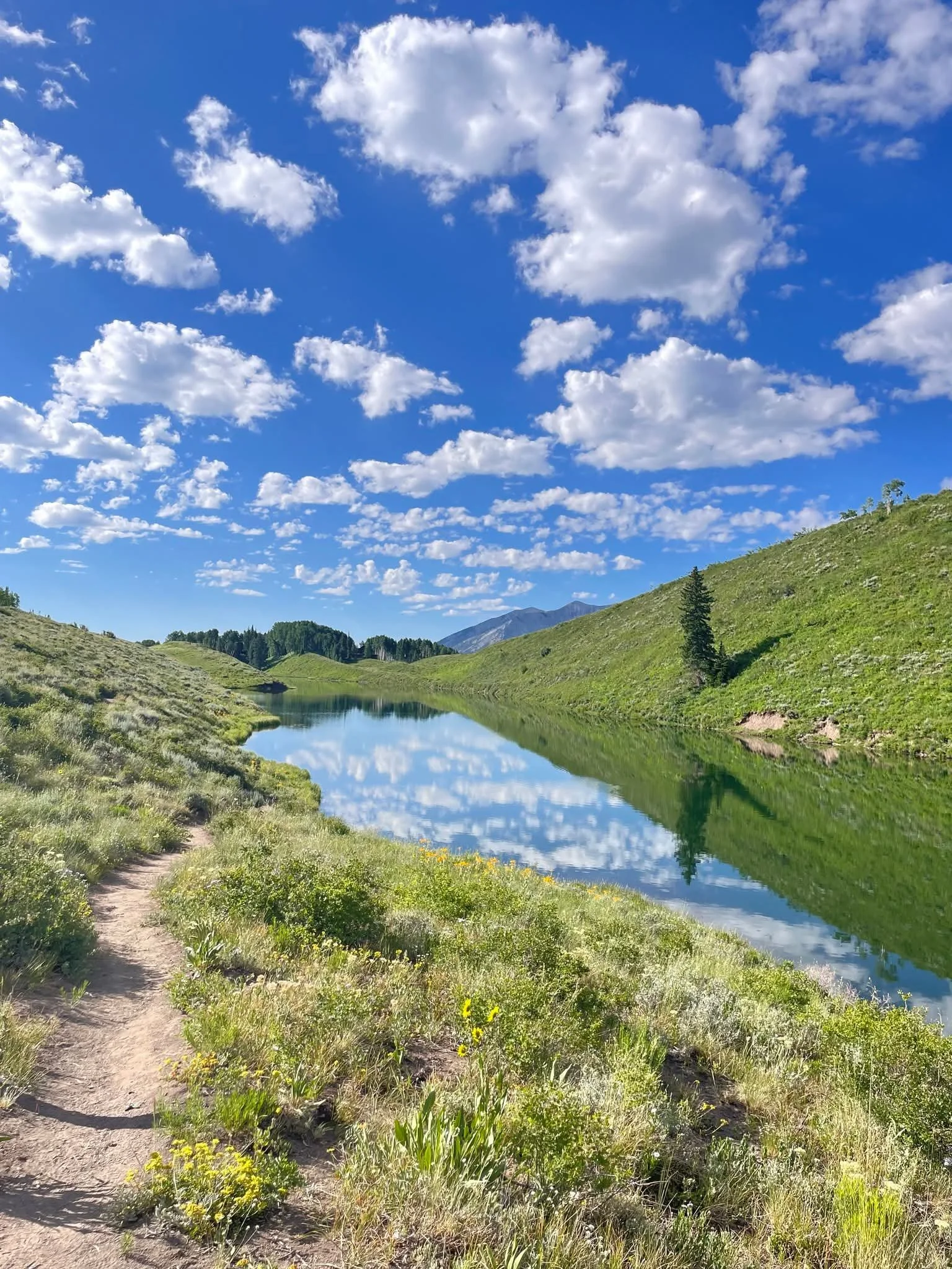 ‘Anxiety Stomping Package’