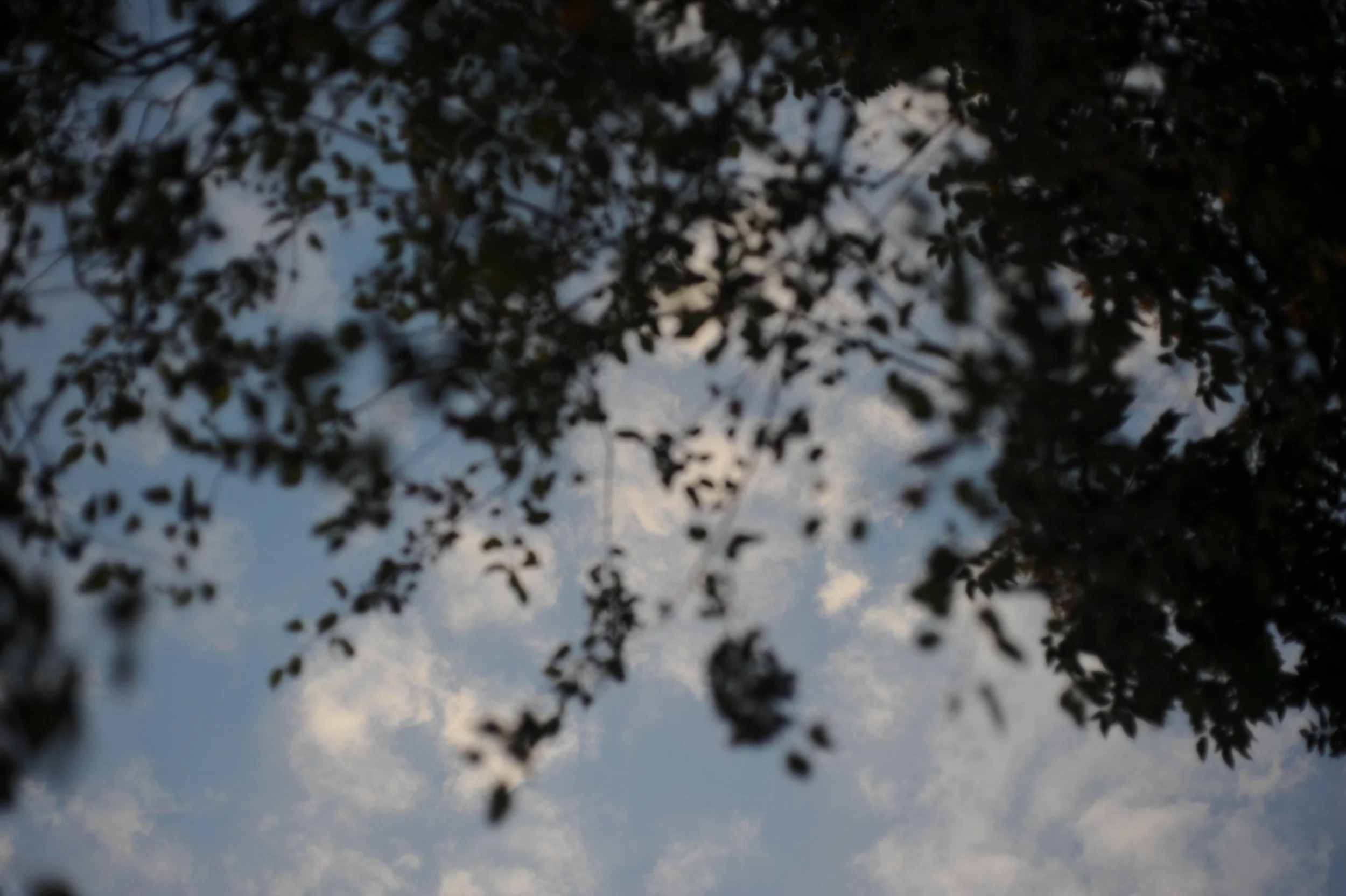 DSC_1082.JPG