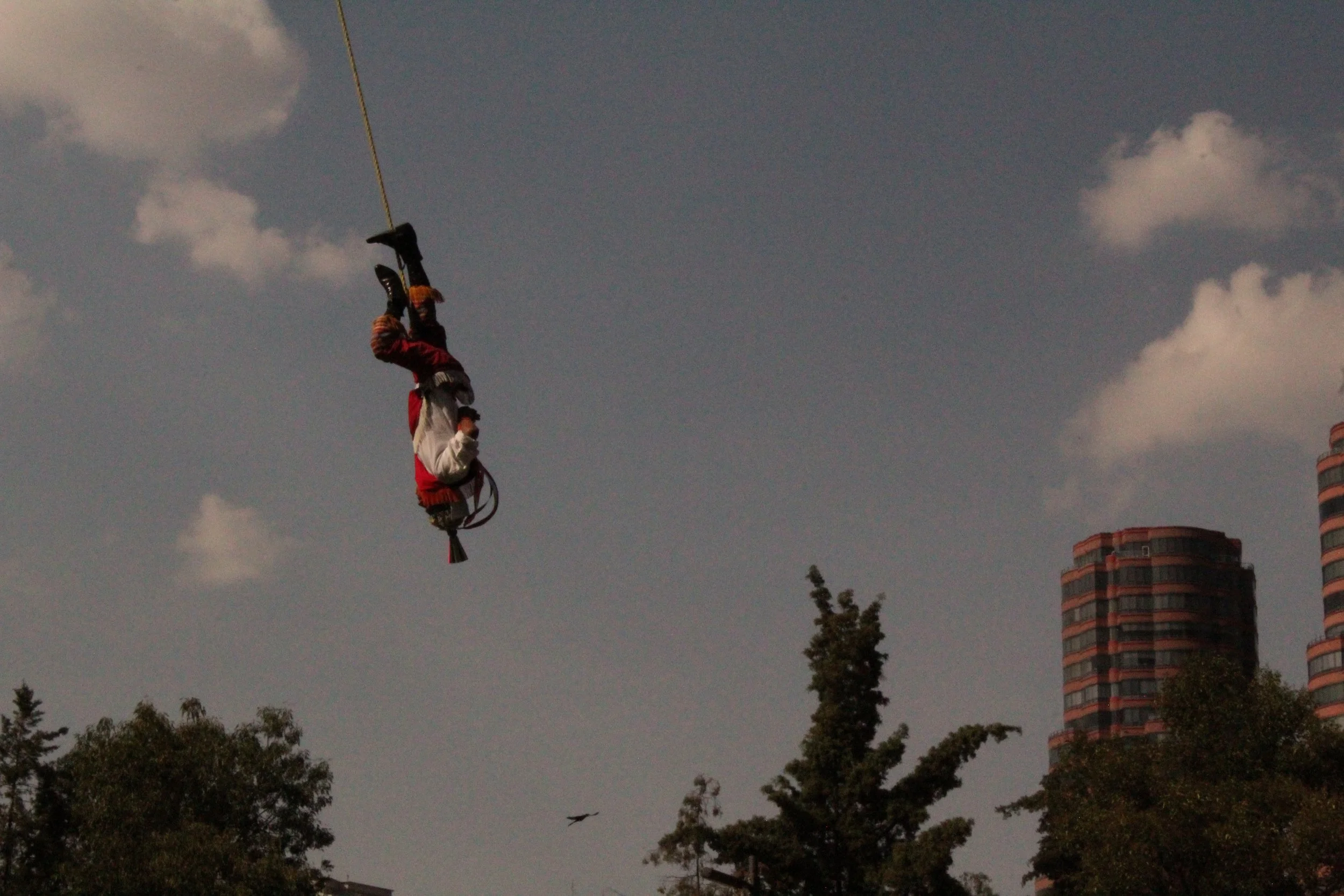 Flying_man_cdmx_nov24.jpg