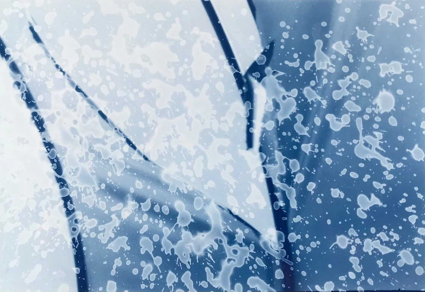 Awning splash.jpg