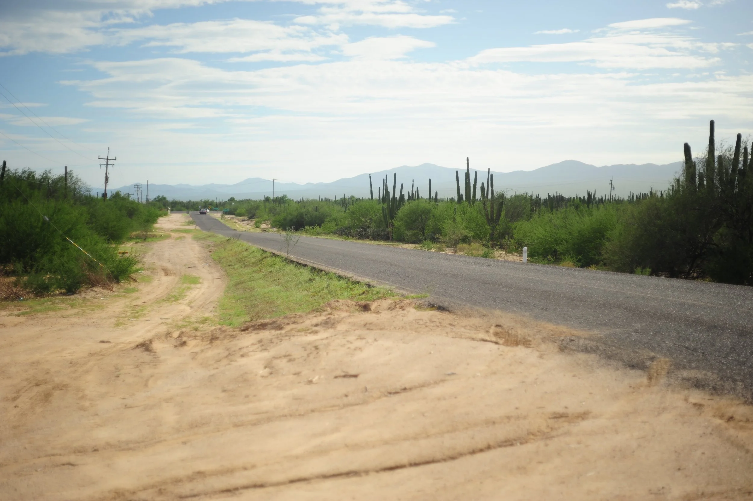 DSC_1971.JPG