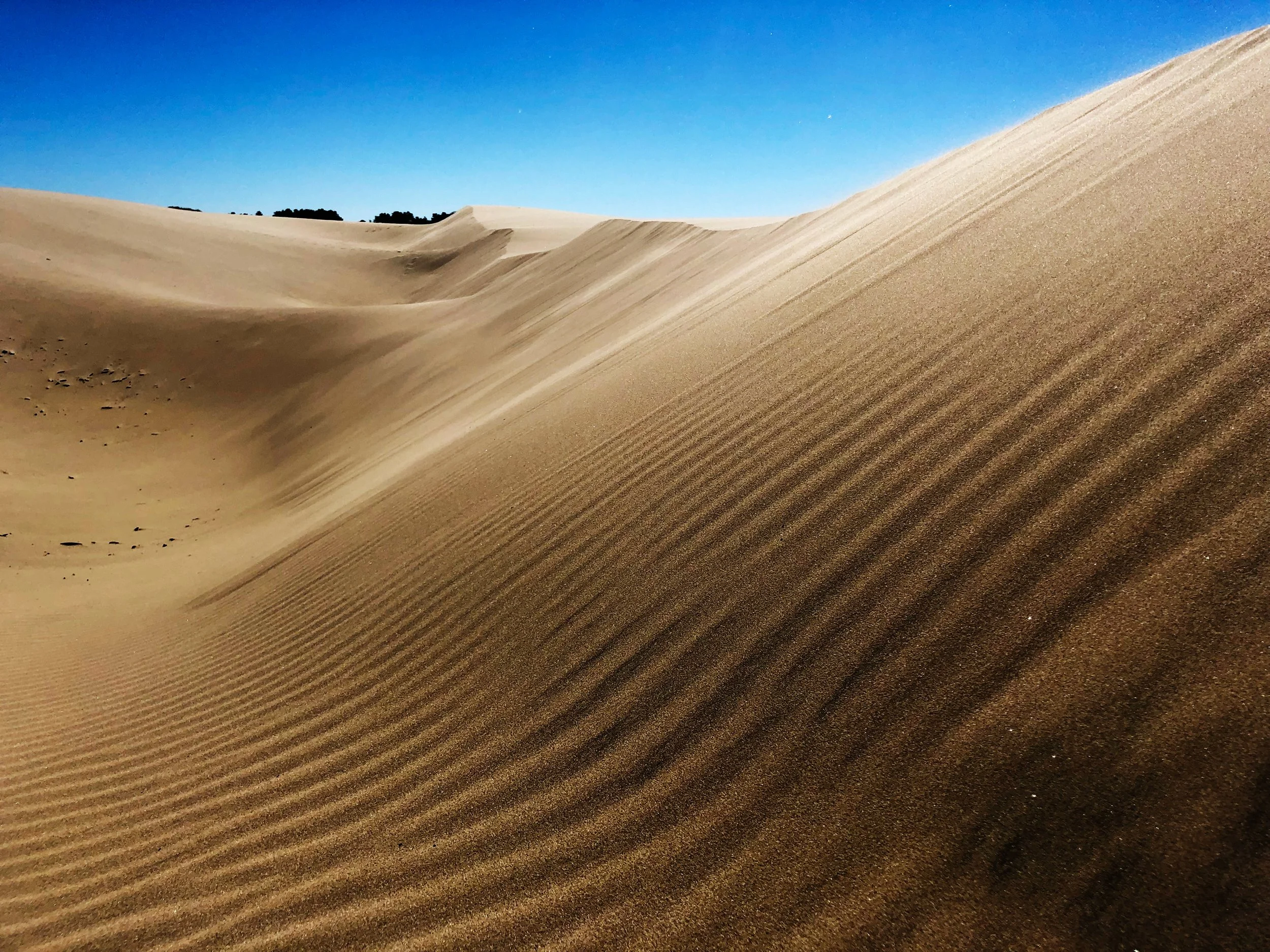 FlorenceDunes_edit1.jpg