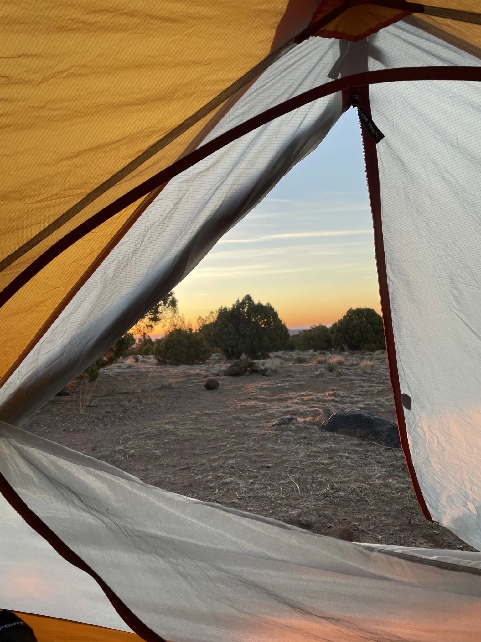 View from inside a yellow camping tent at sunset, showing trees and a colorful sky outside.