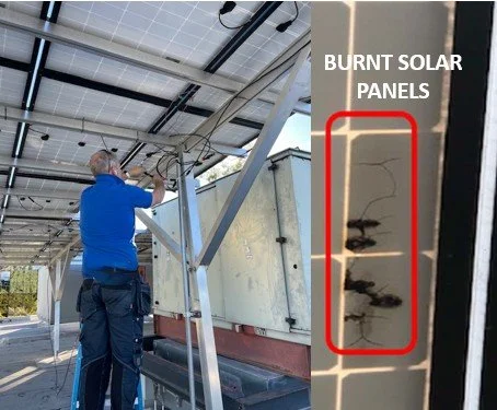 Repairt of burnt solar modules.jpg