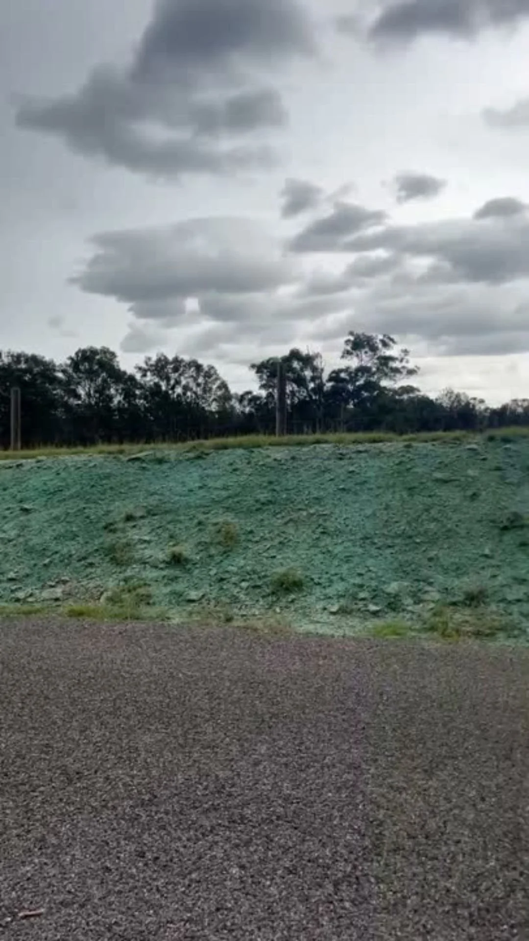 Hydroseeding sprayed to control erosion on rural site hunter valley