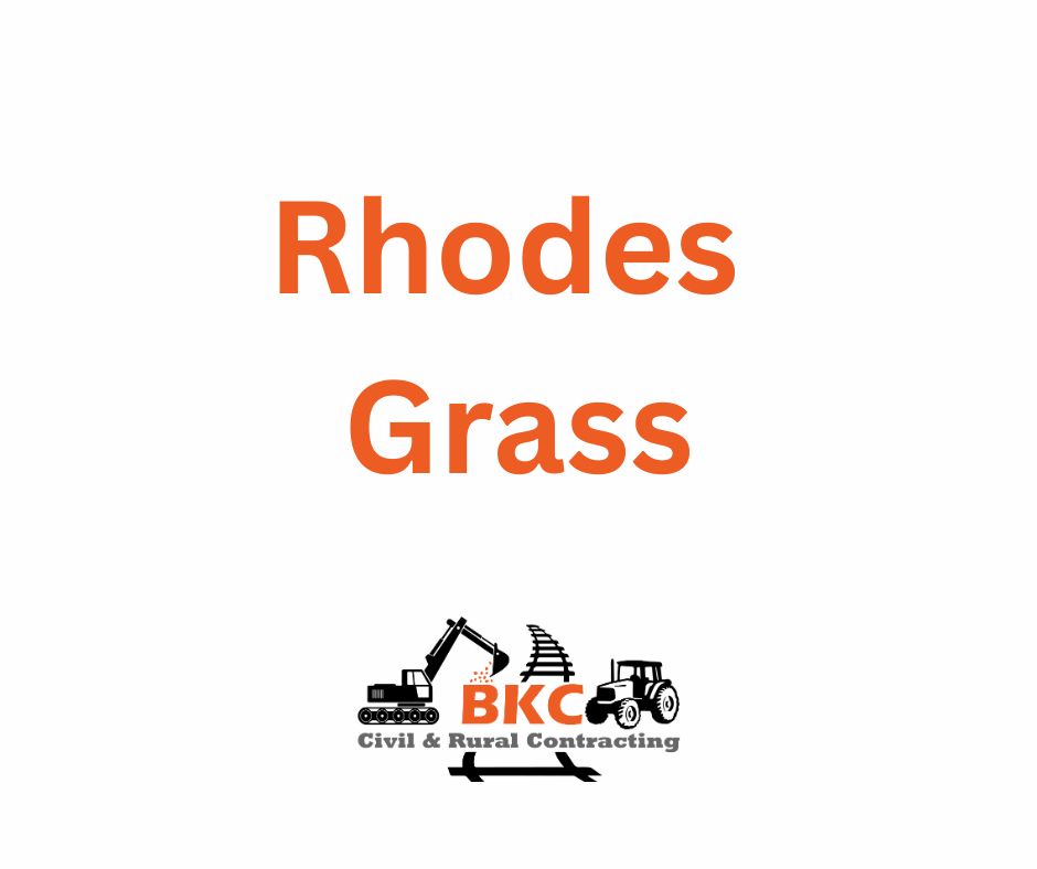 Rhodes Grass
