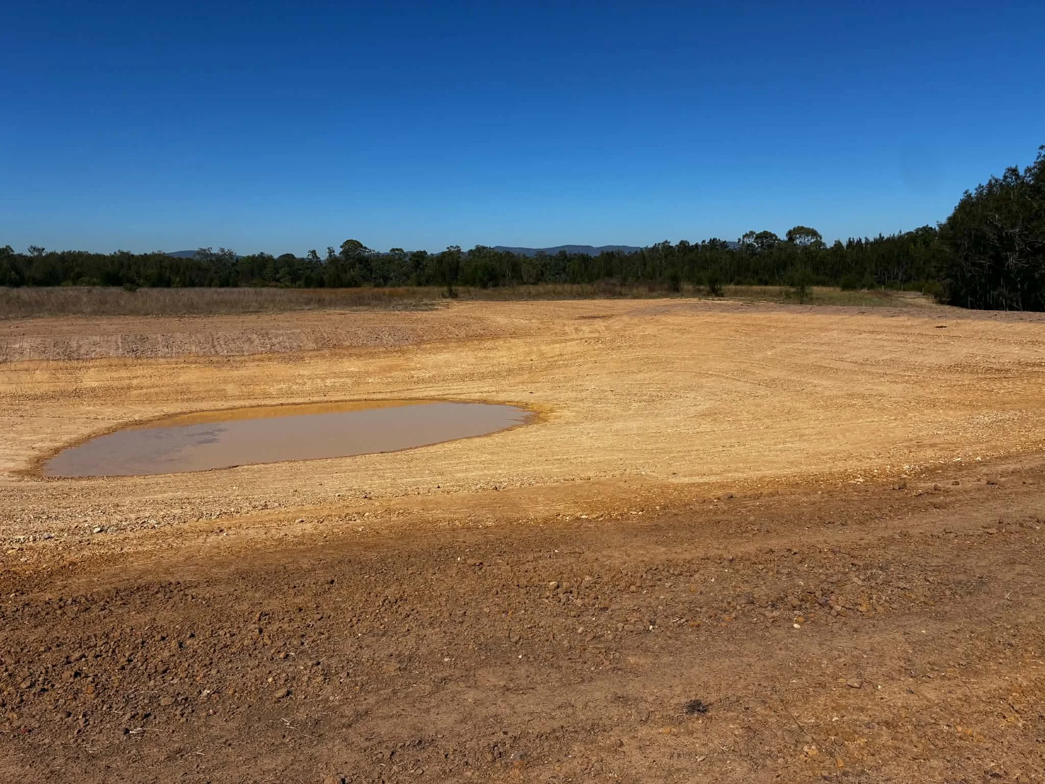 A wide expanse of barren, reddish-brown soil with a small puddle of water in the foreground, a strip of dry grass, and a tree line with dense green foliage against a clear blue sky.
