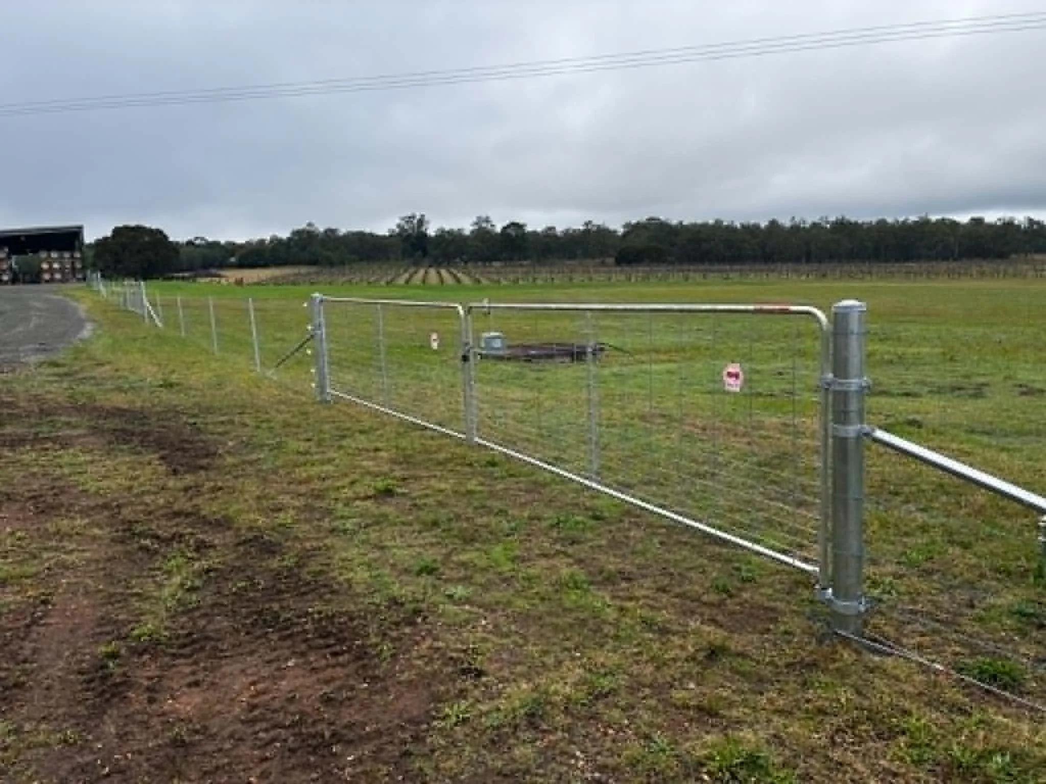 A rural scene with a fenced area in the foreground, a vineyard with rows of grapevines in the middle ground, and a wooded area with trees in the background under a cloudy sky.