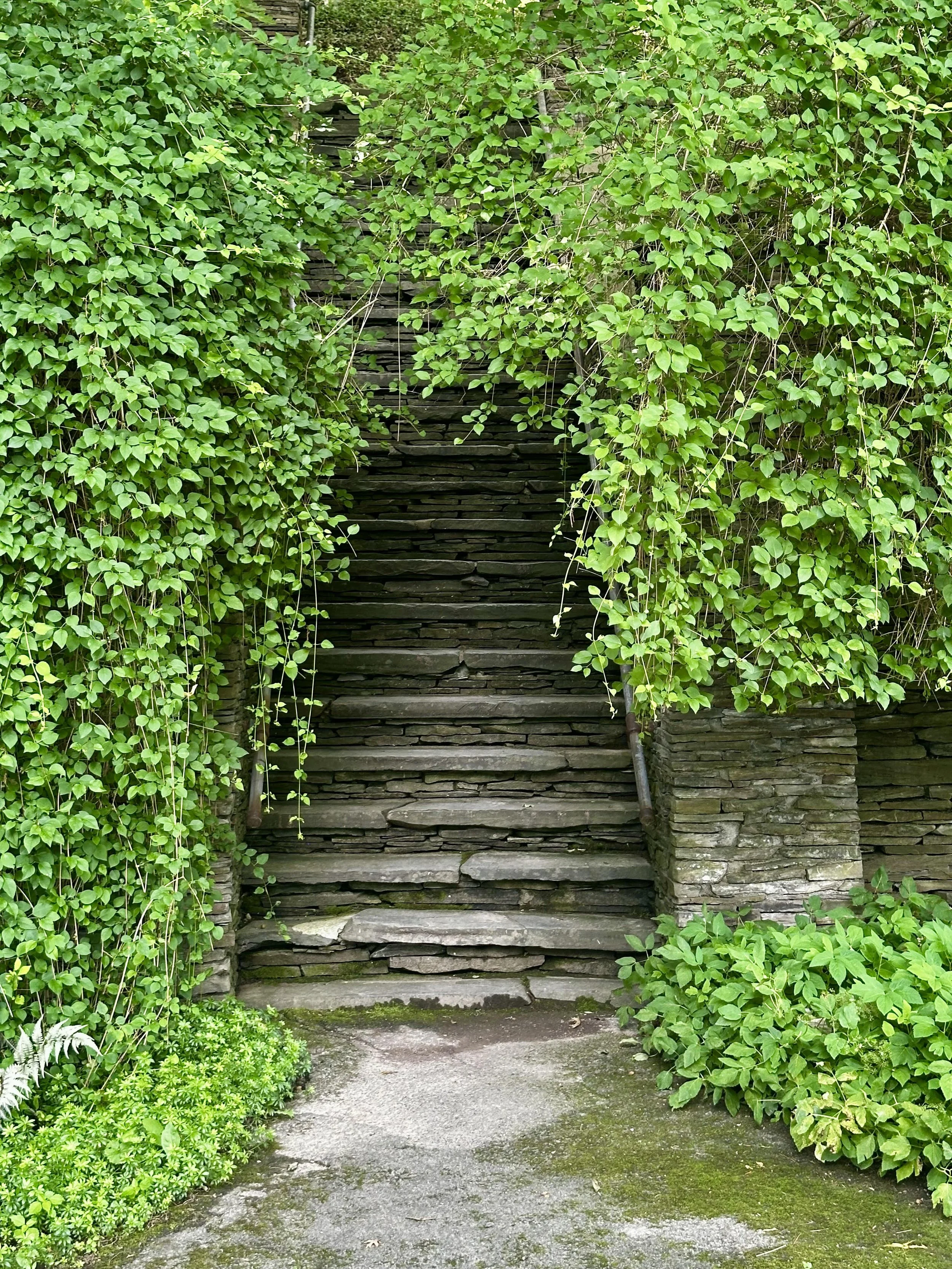 Resilience As A Practice