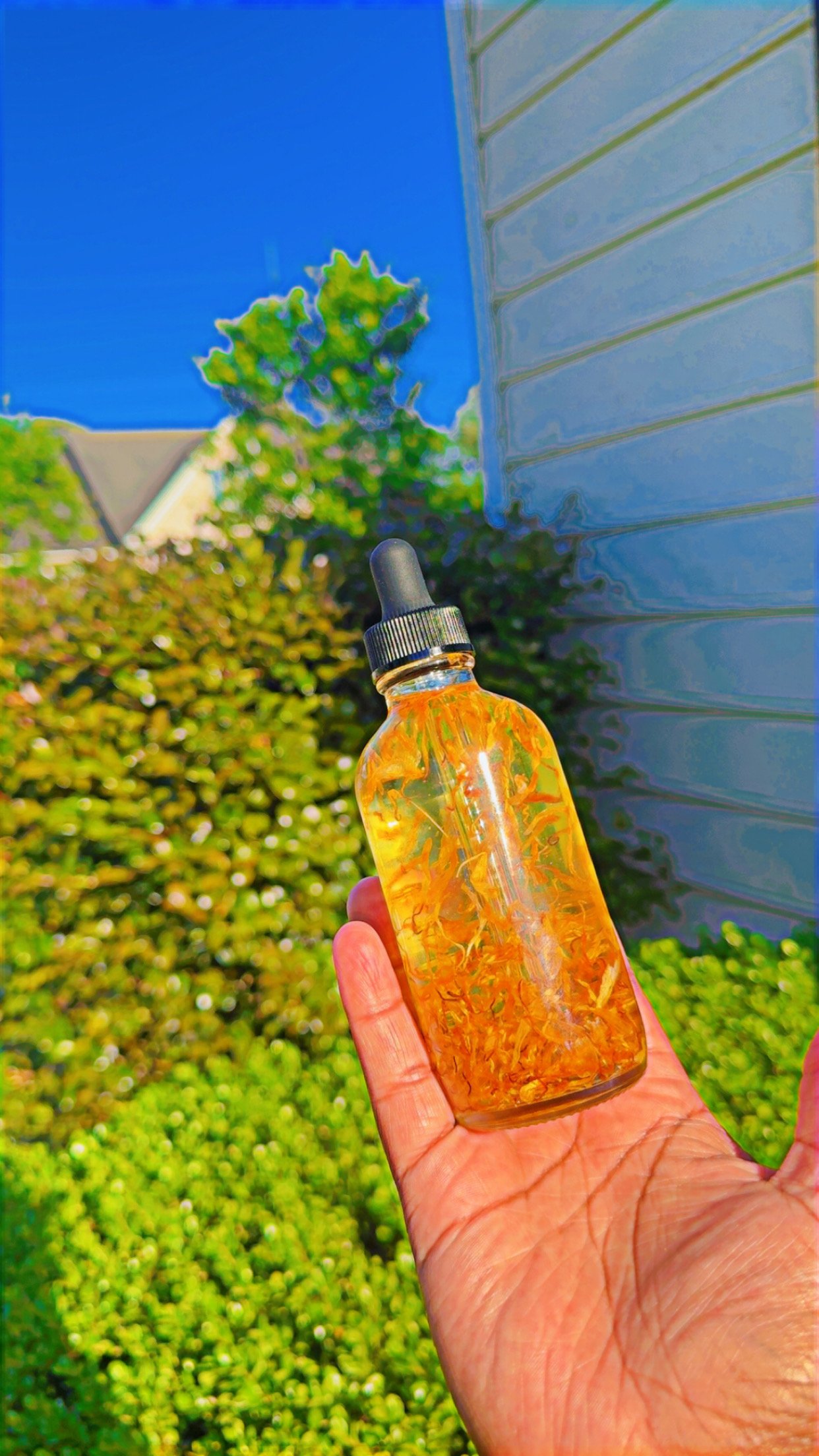 Coochie krack Yoni oil xtra strength