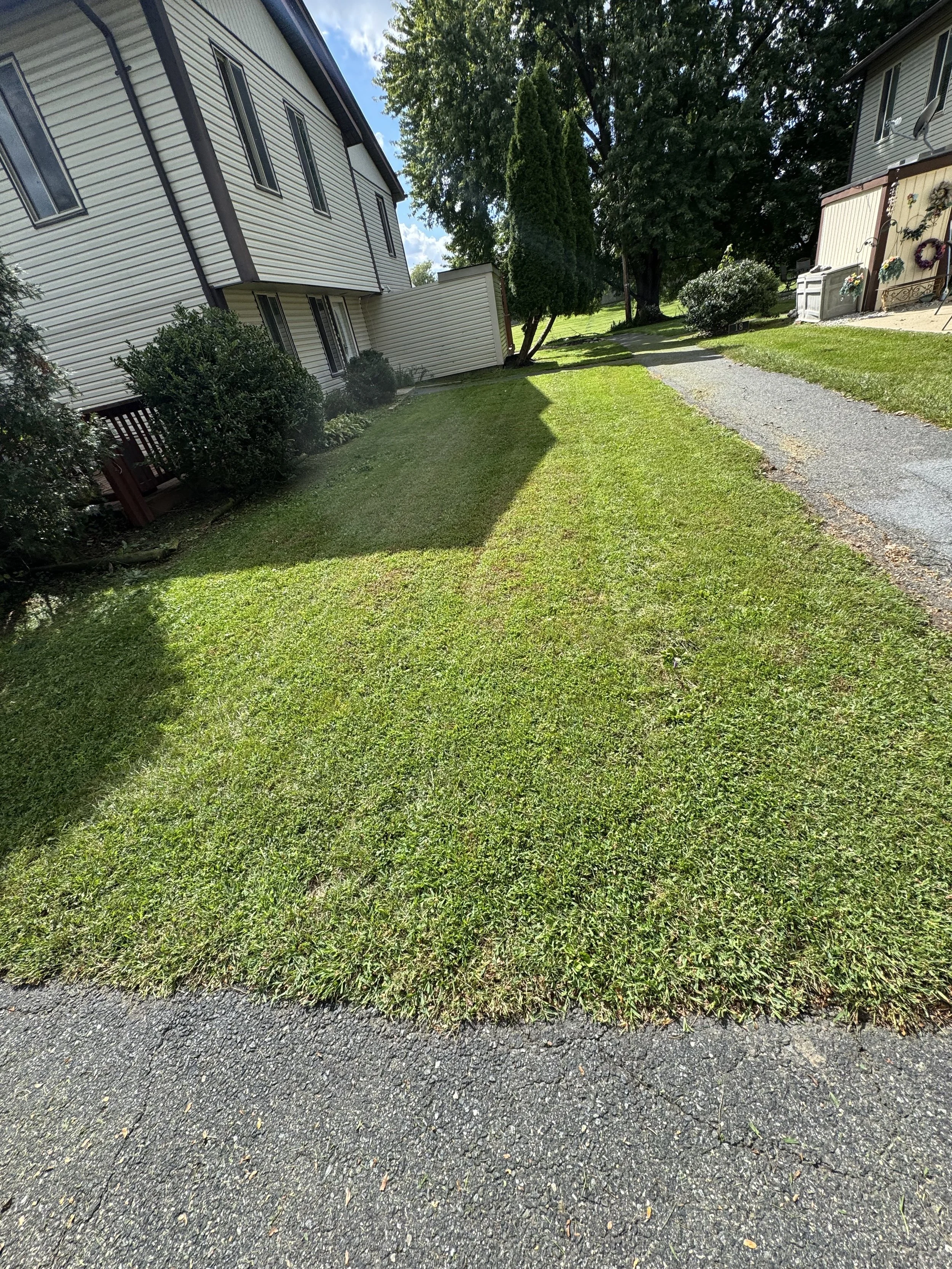 IMG_0202.jpeg