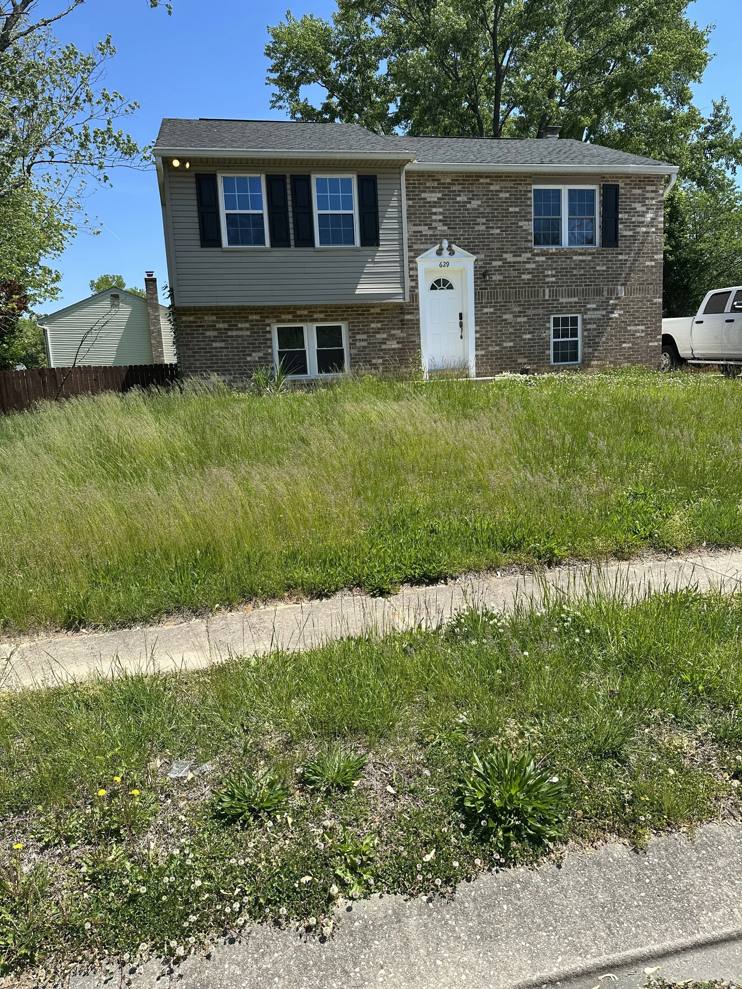 heavy yard trim with (extras)