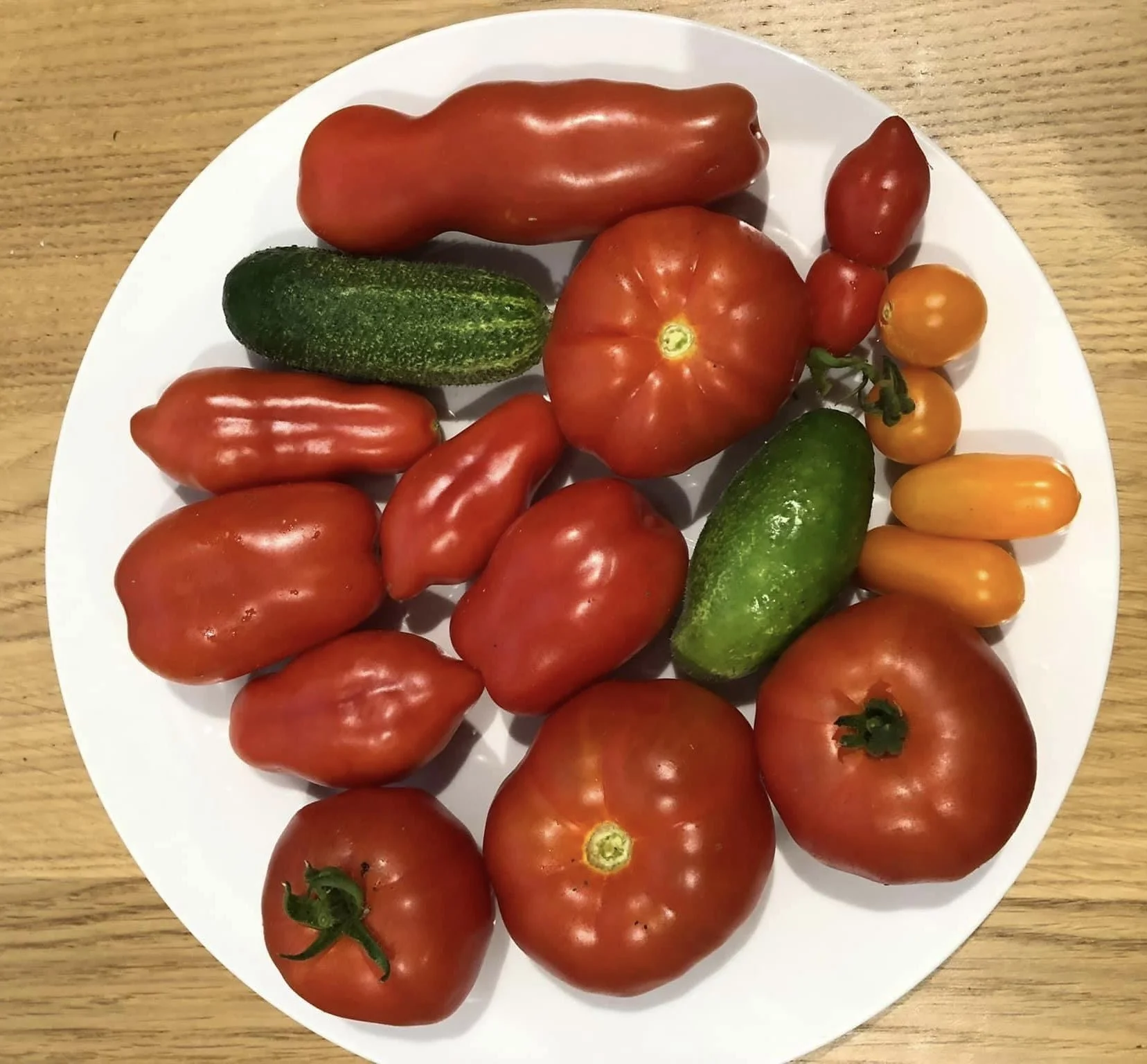 A white plate filled with various types of fresh tomatoes and cucumbers, placed on a wooden surface.