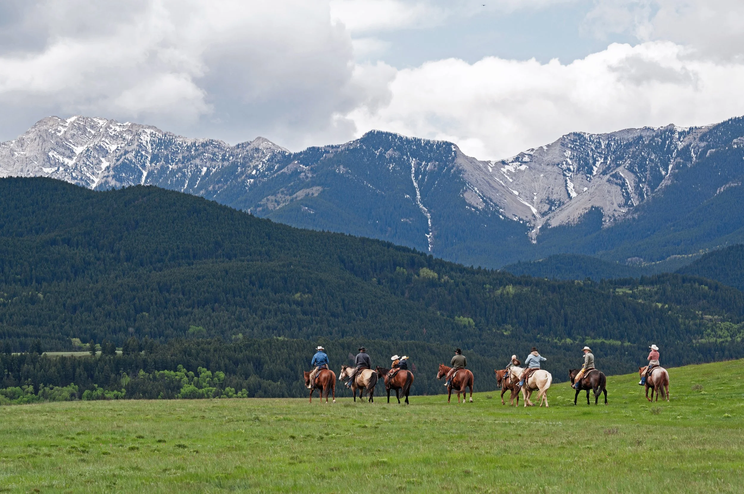 Ranching Families Stewarding a Living Legacy: The Story of the Waldron Grazing Co-operative