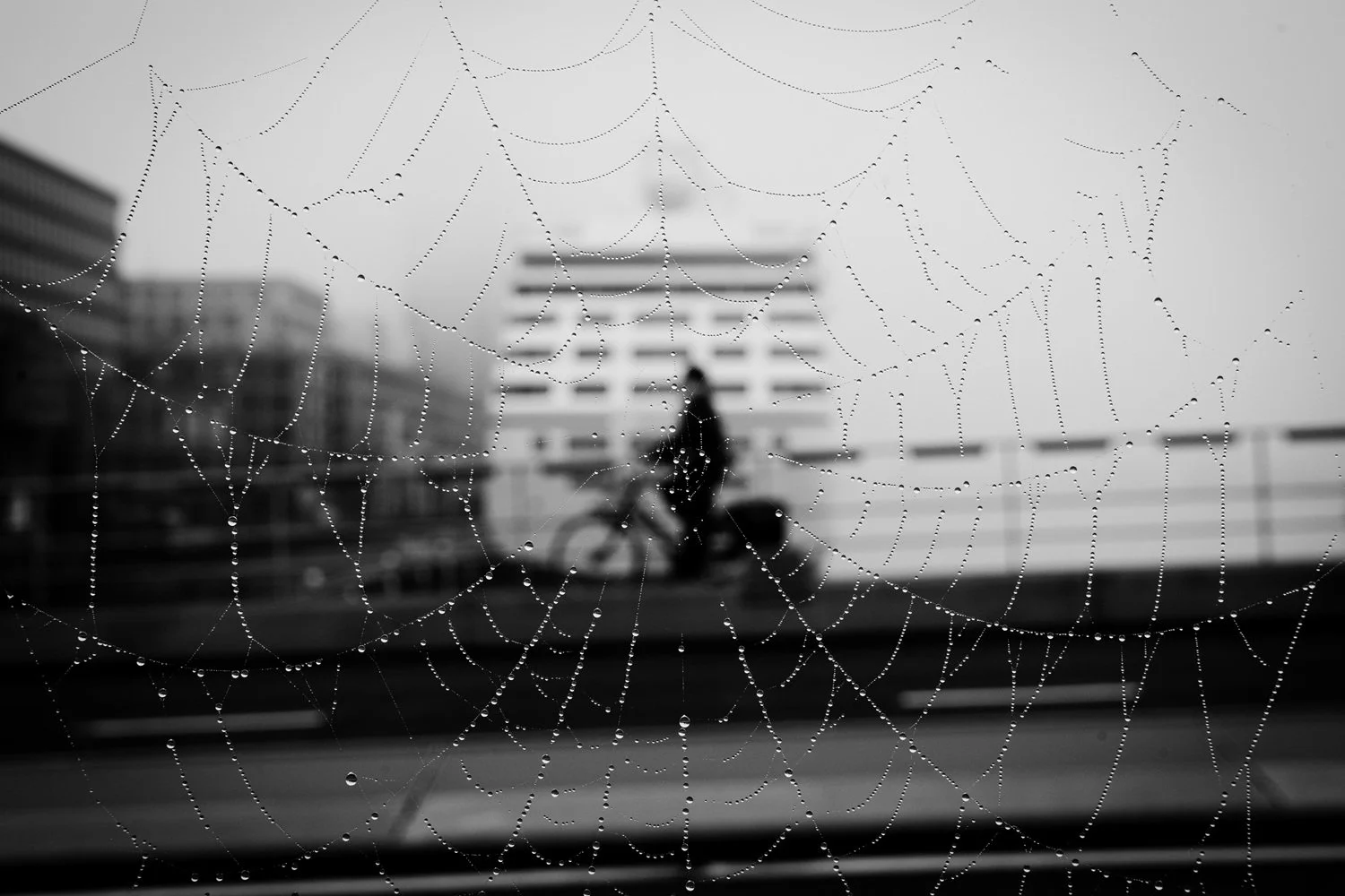 Blog - Black and white 3.jpg