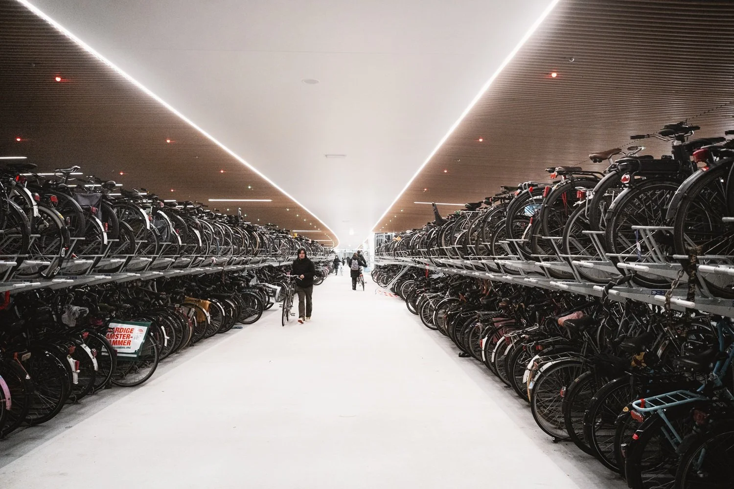 Blog - Shot Indoors 4.jpg