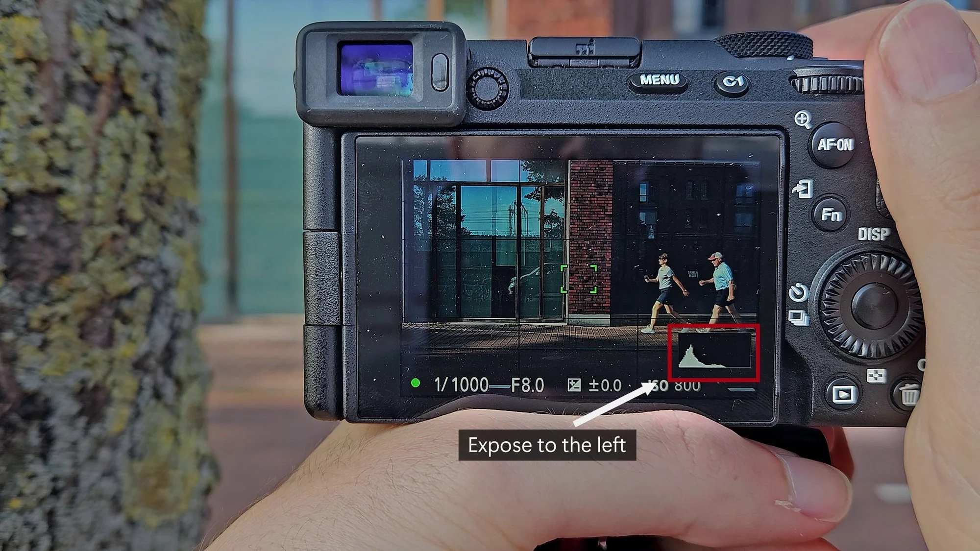 Blog - camera settings 3.jpg