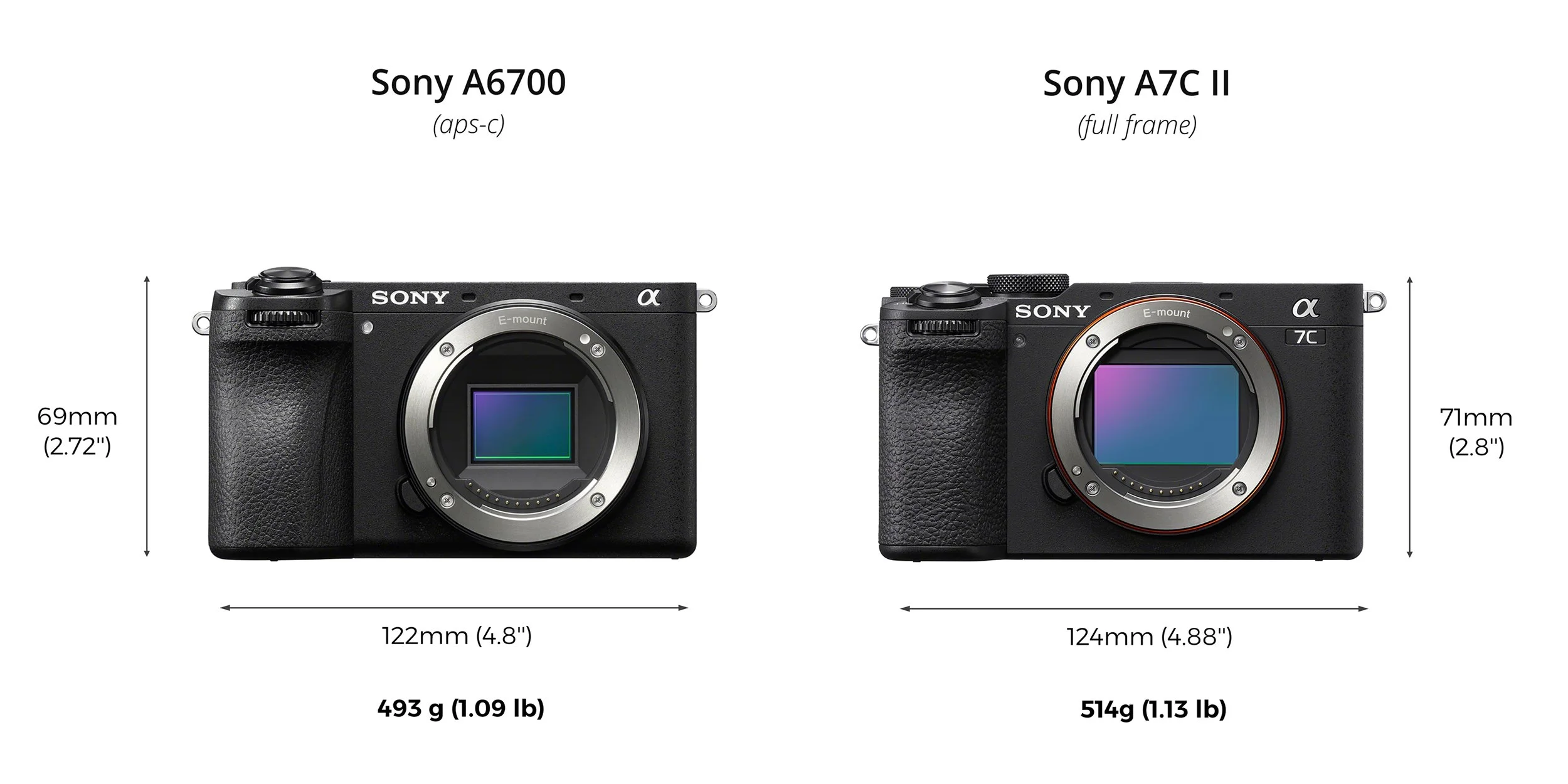Sony A7C ii Vs Sony A6700.jpg