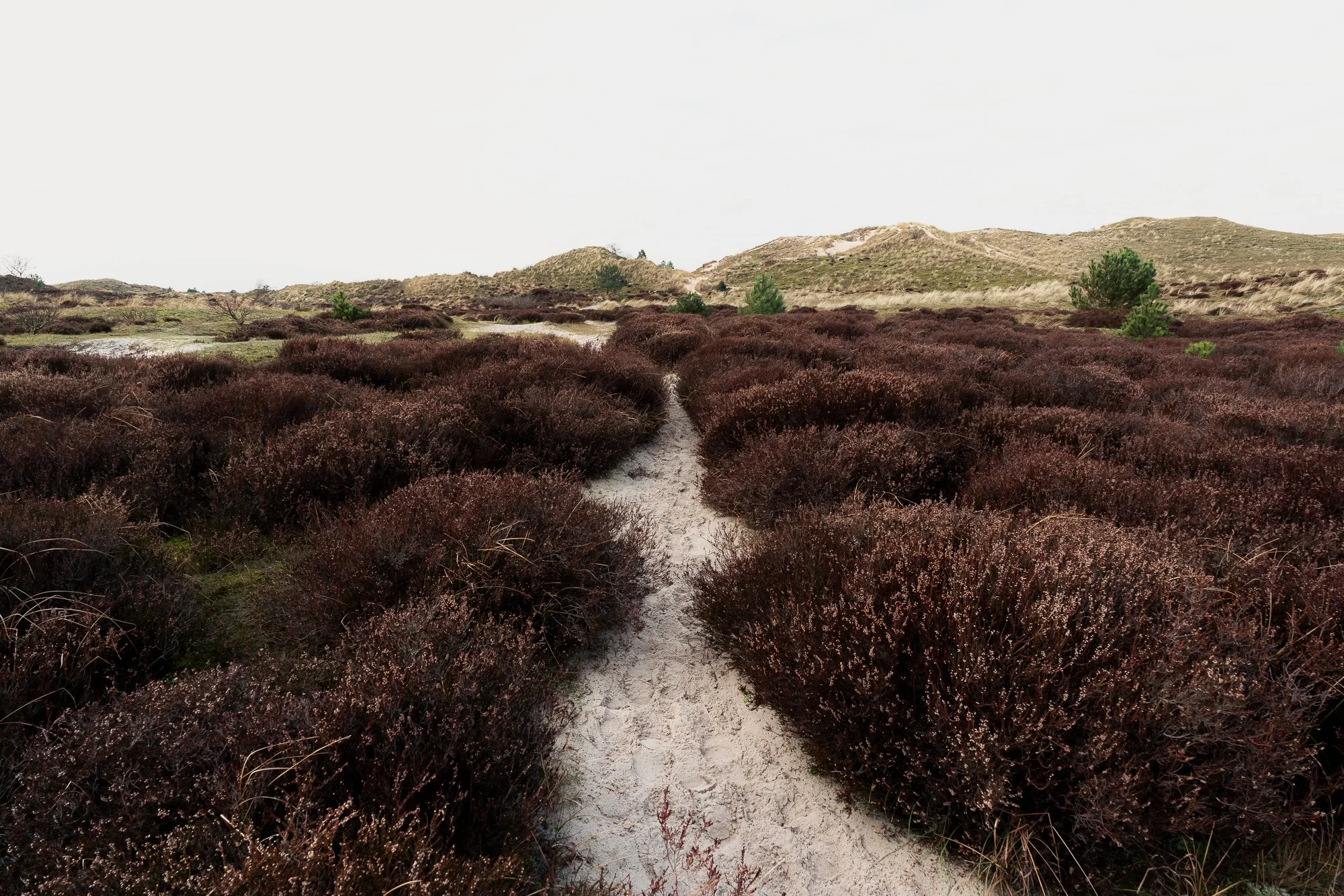 Blog - Boring Places 11.jpg