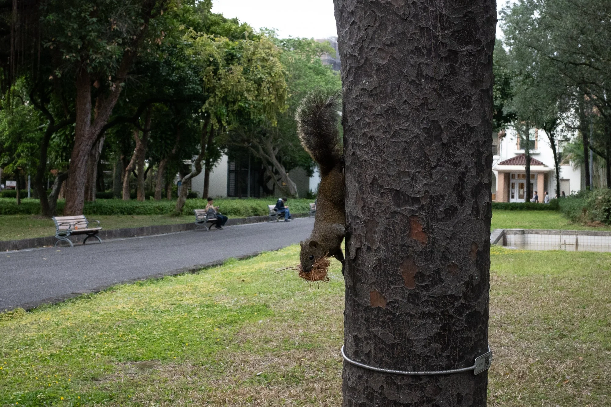 Bound By Chance - 11.jpg