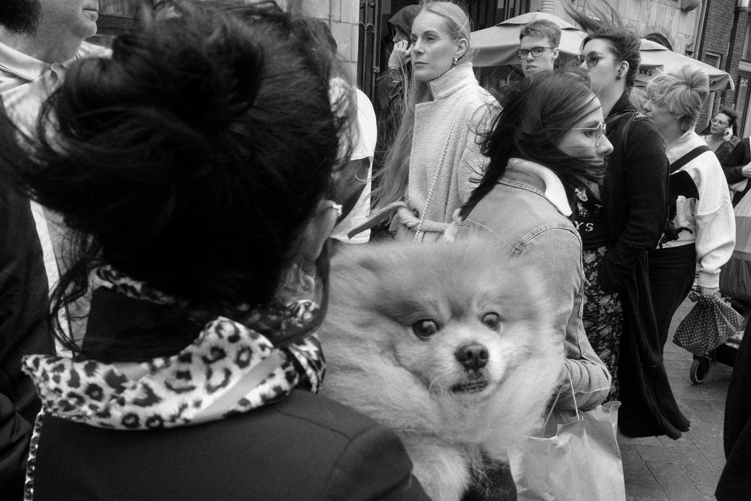 Amsterdam - 10.jpg