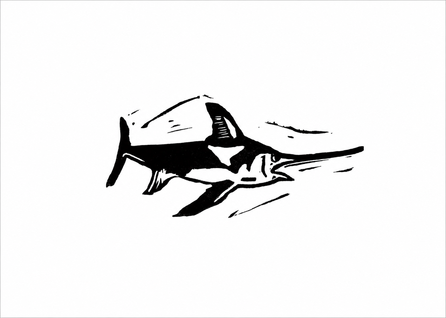 Swordfish Print