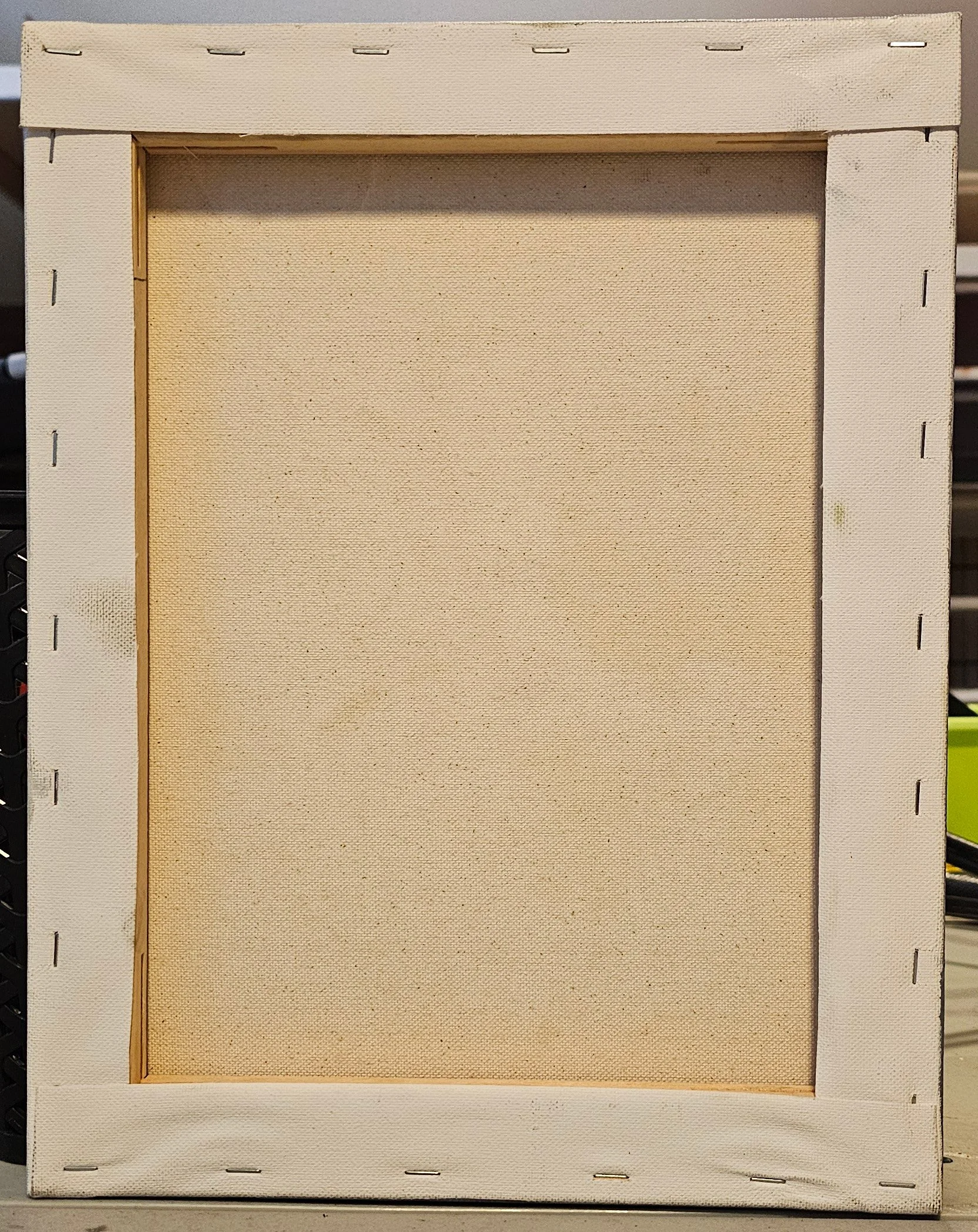 Cotton Plant_back.jpg