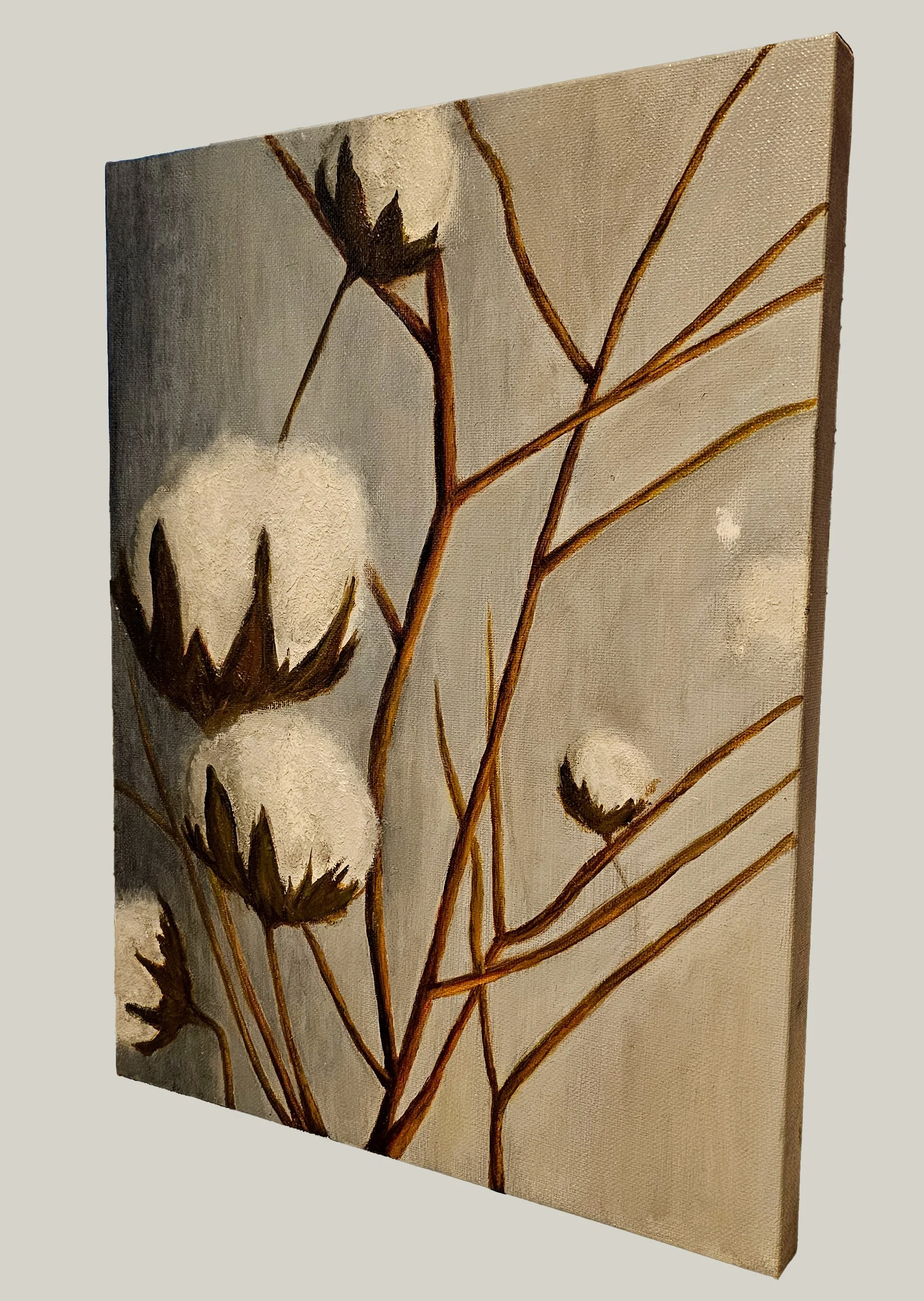 Cotton Plant_side.jpg