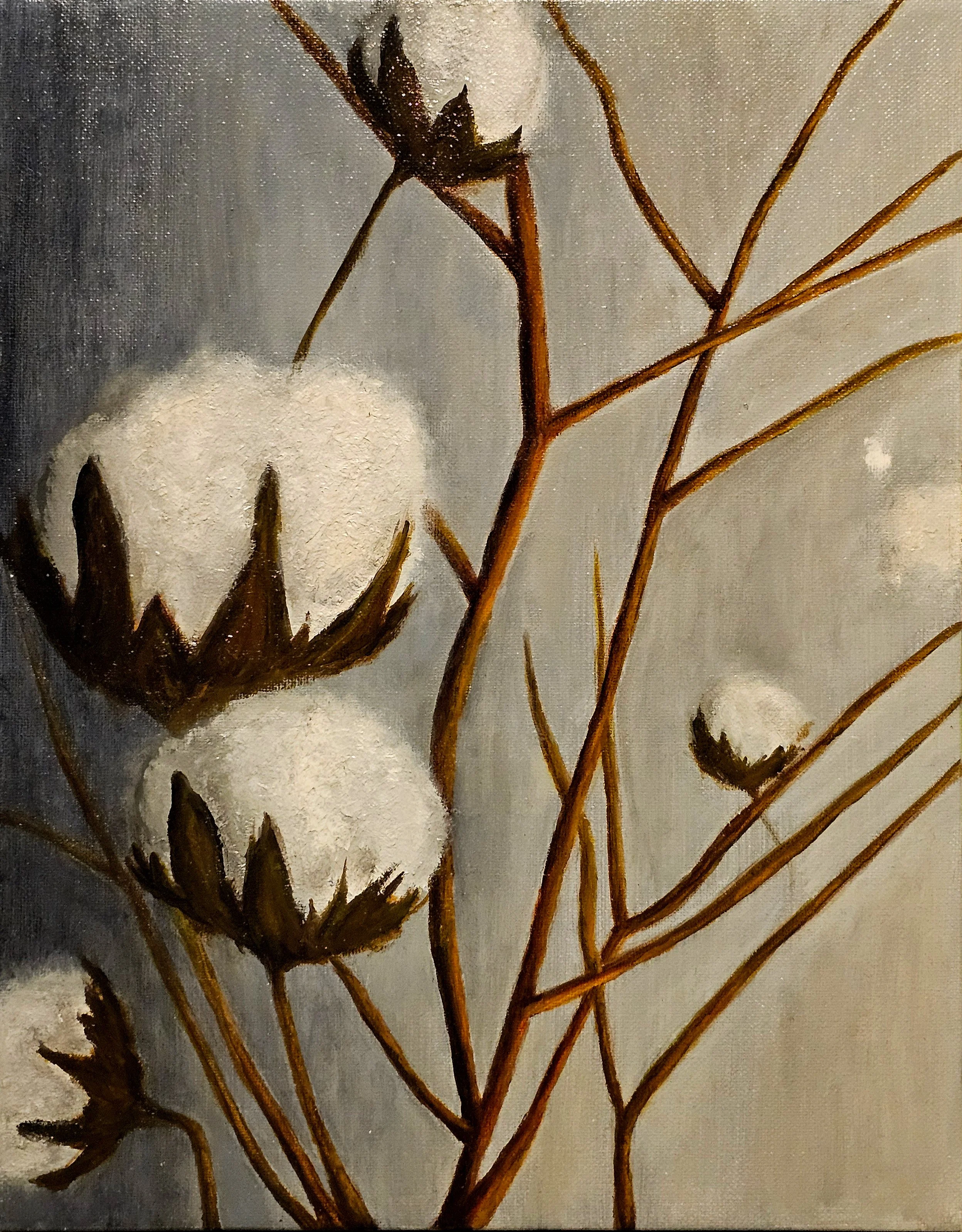 Cotton Plant | 11 x 14 inches | Oil on Canvas