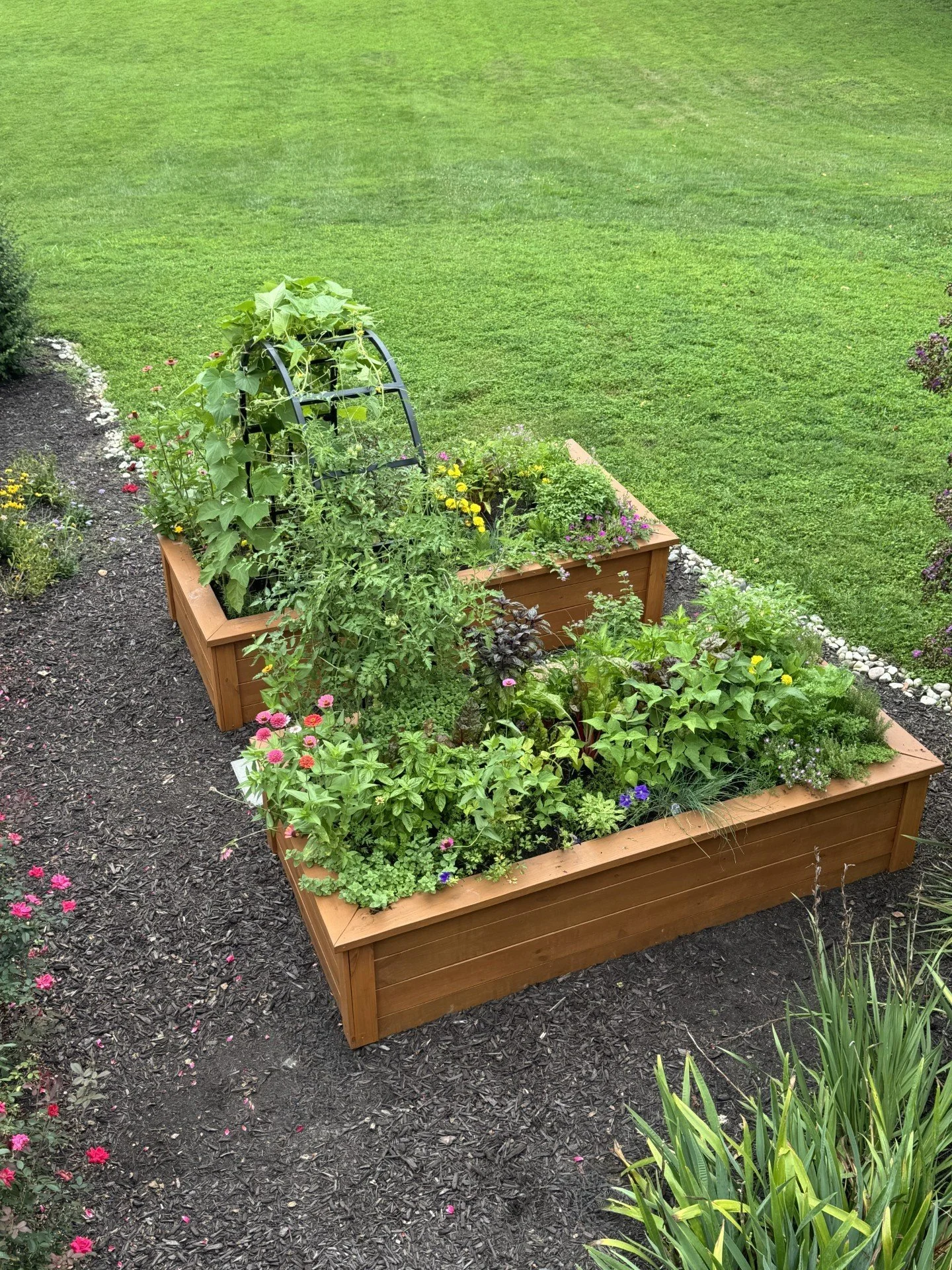 Twin with Single Trellis.jpg